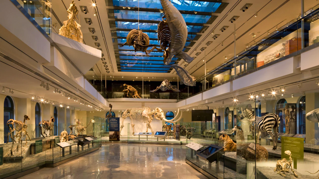 Go City Las Vegas Explorer Pass – Save up to 50% on Attractions Location