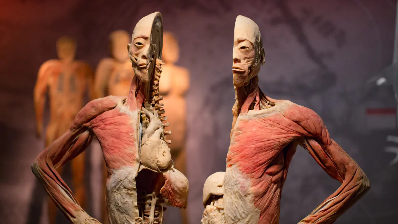 Go City Las Vegas All-Inclusive Pass – Save up to 50% on Attractions