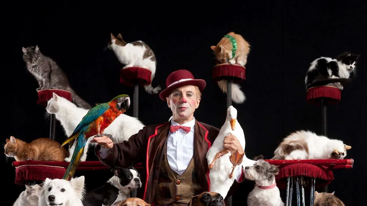 V Theatre Las Vegas – Popovich Comedy Pet Theatre Ticket Price