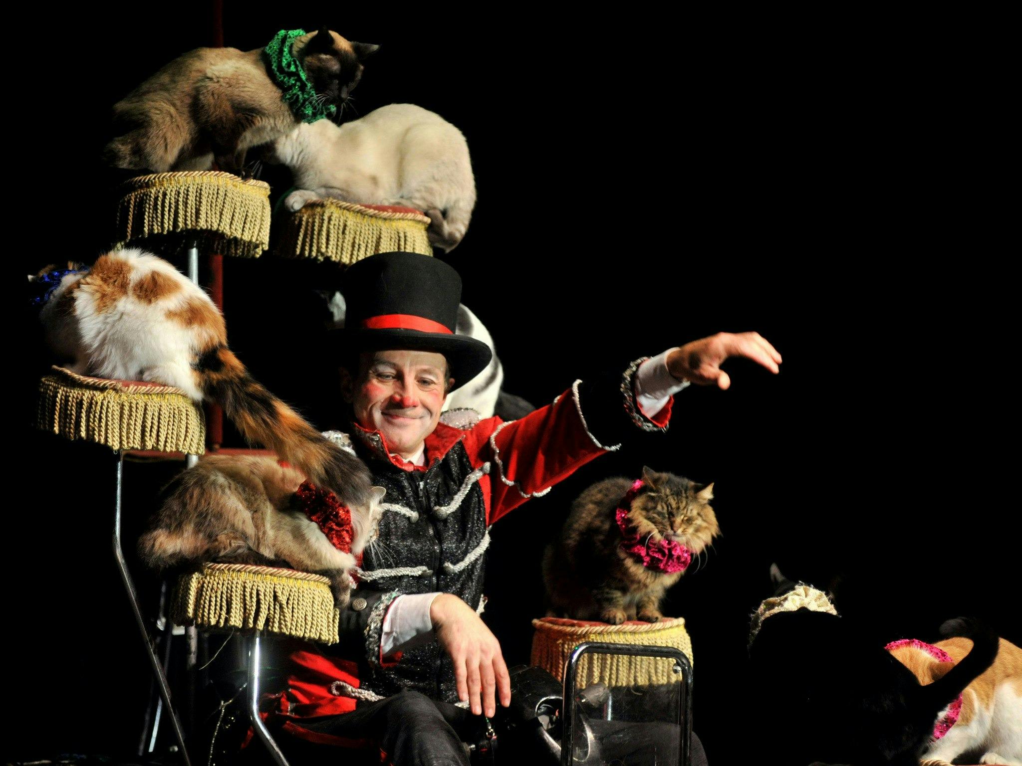 V Theatre Las Vegas – Popovich Comedy Pet Theatre Ticket Ticket