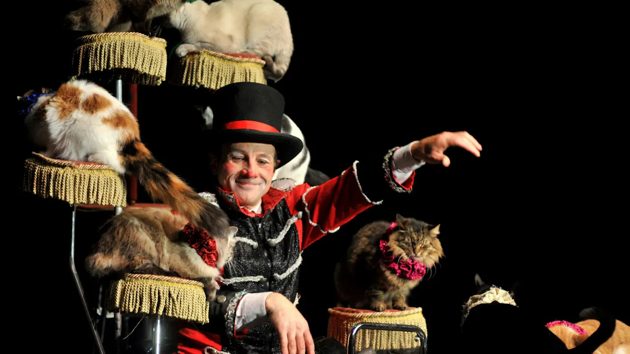 V Theatre Las Vegas – Popovich Comedy Pet Theatre Ticket Ticket