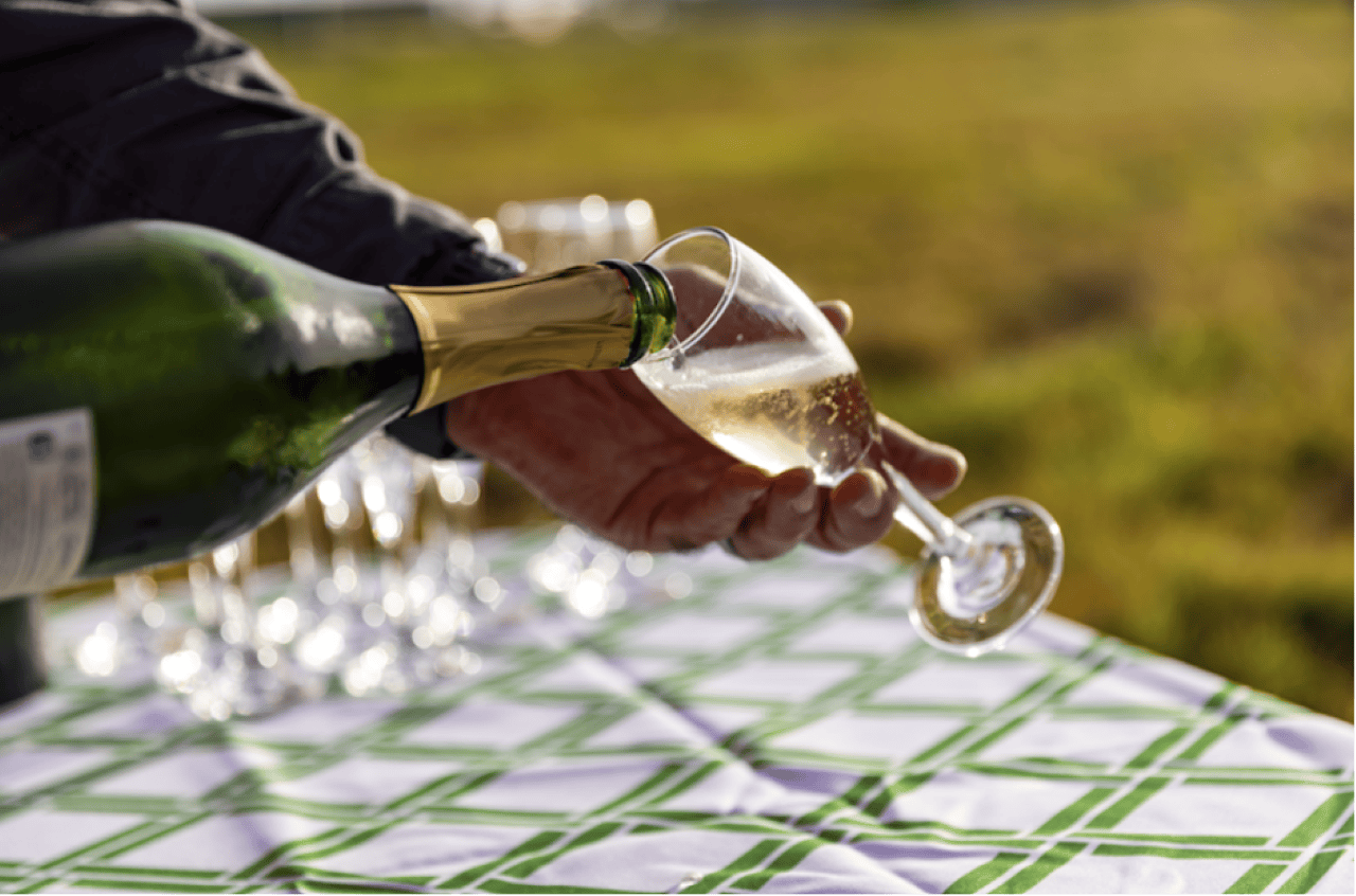 Gold Coast Hot Air Balloon Ride + Optional Vineyard Breakfast Ticket Discount