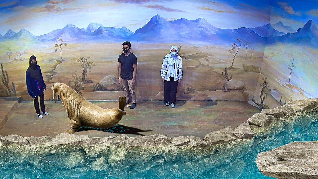 Combo: Adventure Waterpark Desaru Coast + Illusian 3D Art Museum Thrillark