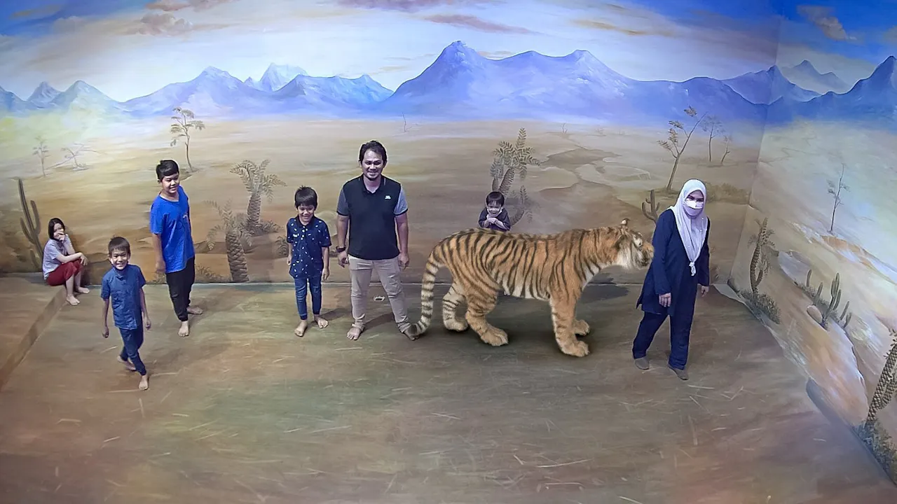 Combo: Adventure Waterpark Desaru Coast + Illusian 3D Art Museum