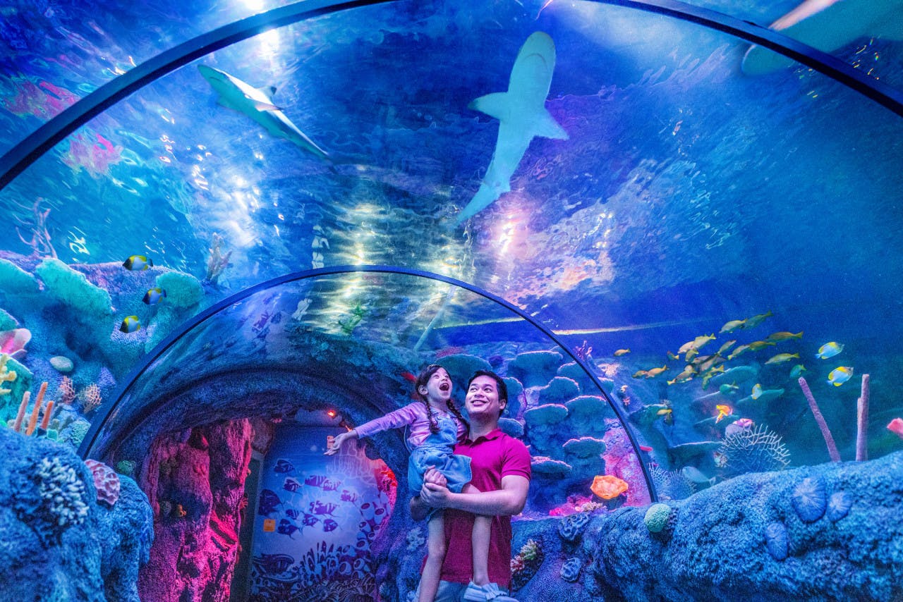 Combo: LEGOLAND Malaysia + Aquaria KLCC 