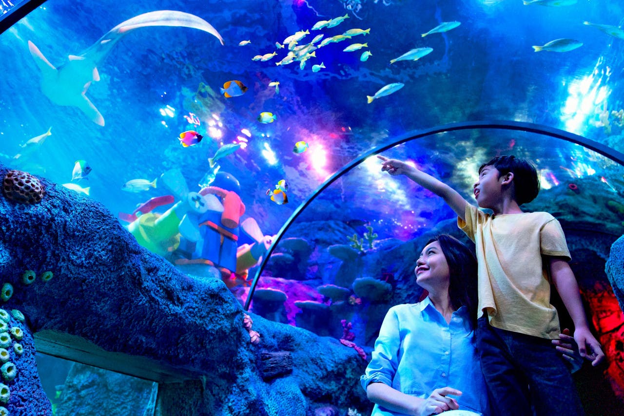 Combo: LEGOLAND Malaysia + Aquaria KLCC Review