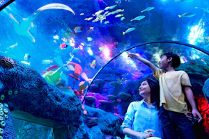 Combo: LEGOLAND Malaysia + Aquaria KLCC