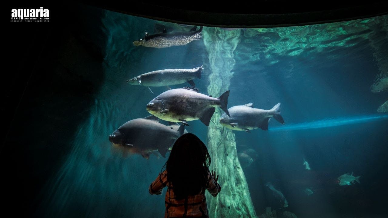 Super Park Malaysia + Aquaria KLCC Combo Ticket Ticket