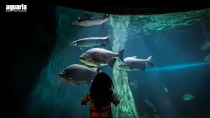 Super Park Malaysia + Aquaria KLCC Combo Ticket