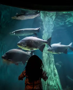 Super Park Malaysia + Aquaria KLCC Combo Ticket