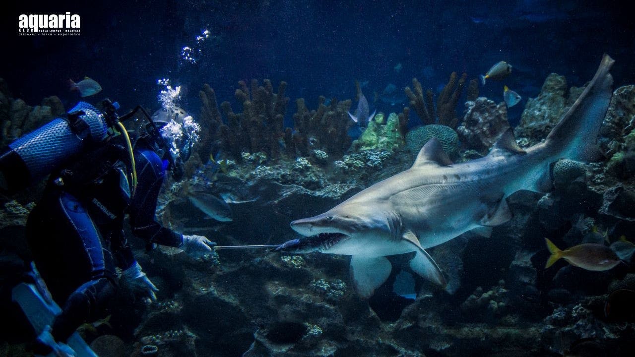 Super Park Malaysia + Aquaria KLCC Combo Ticket Thrillark