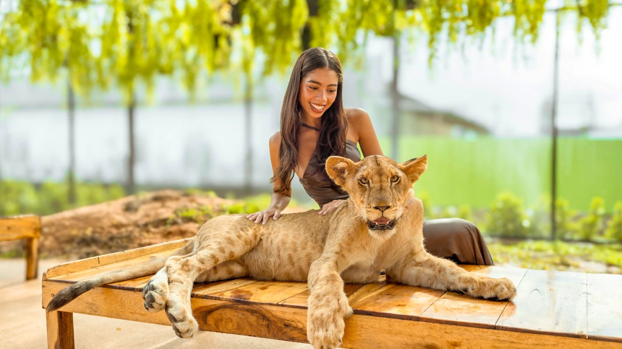 Lion Land Phuket Ticket Price
