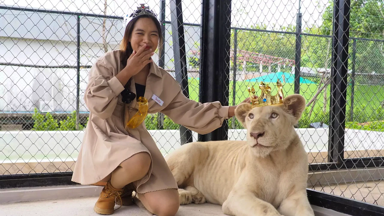 Lion Land Phuket Ticket Category