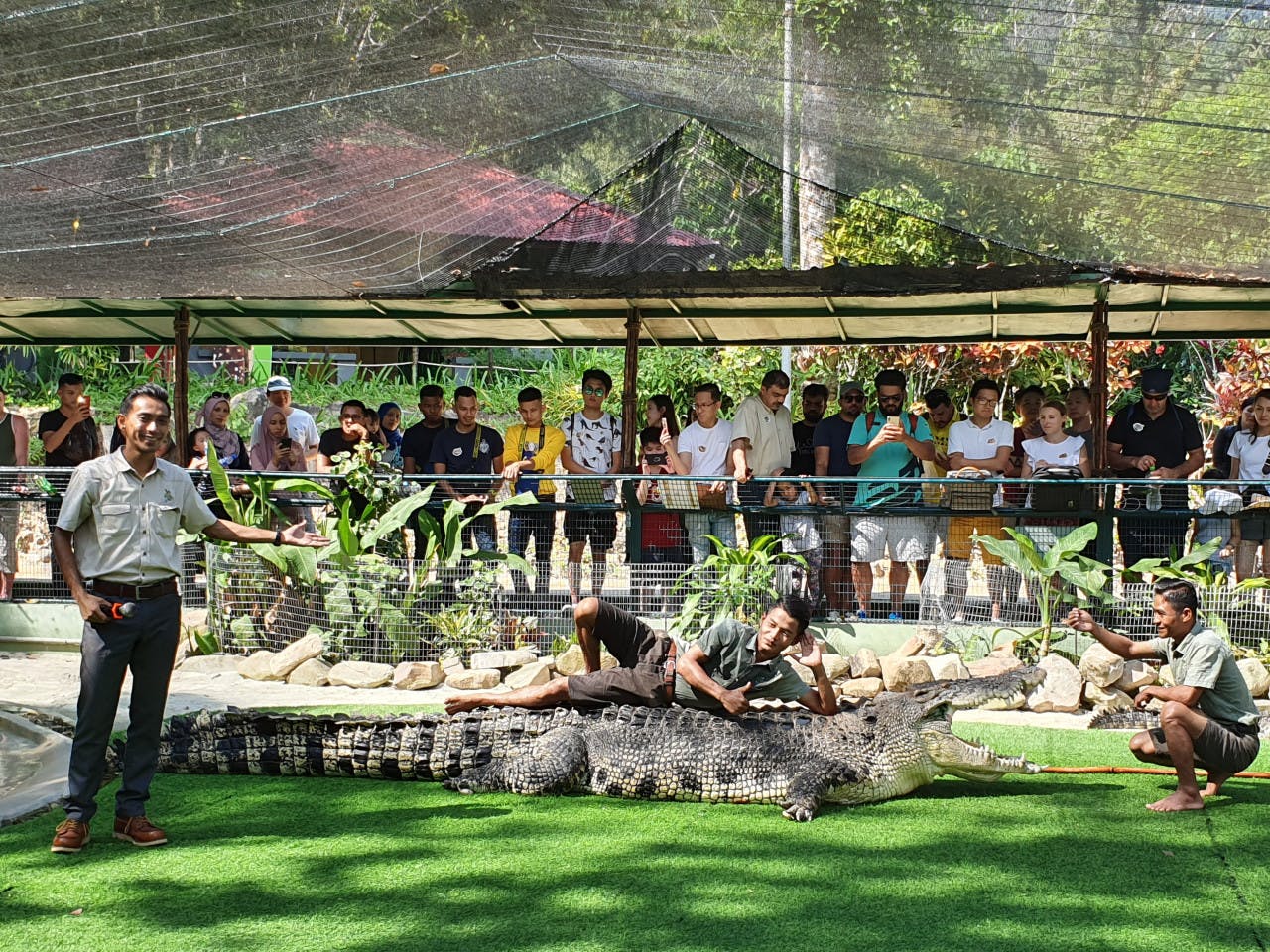 Combo: Under Water World Langkawi + Crocodile Adventure Langkawi Review