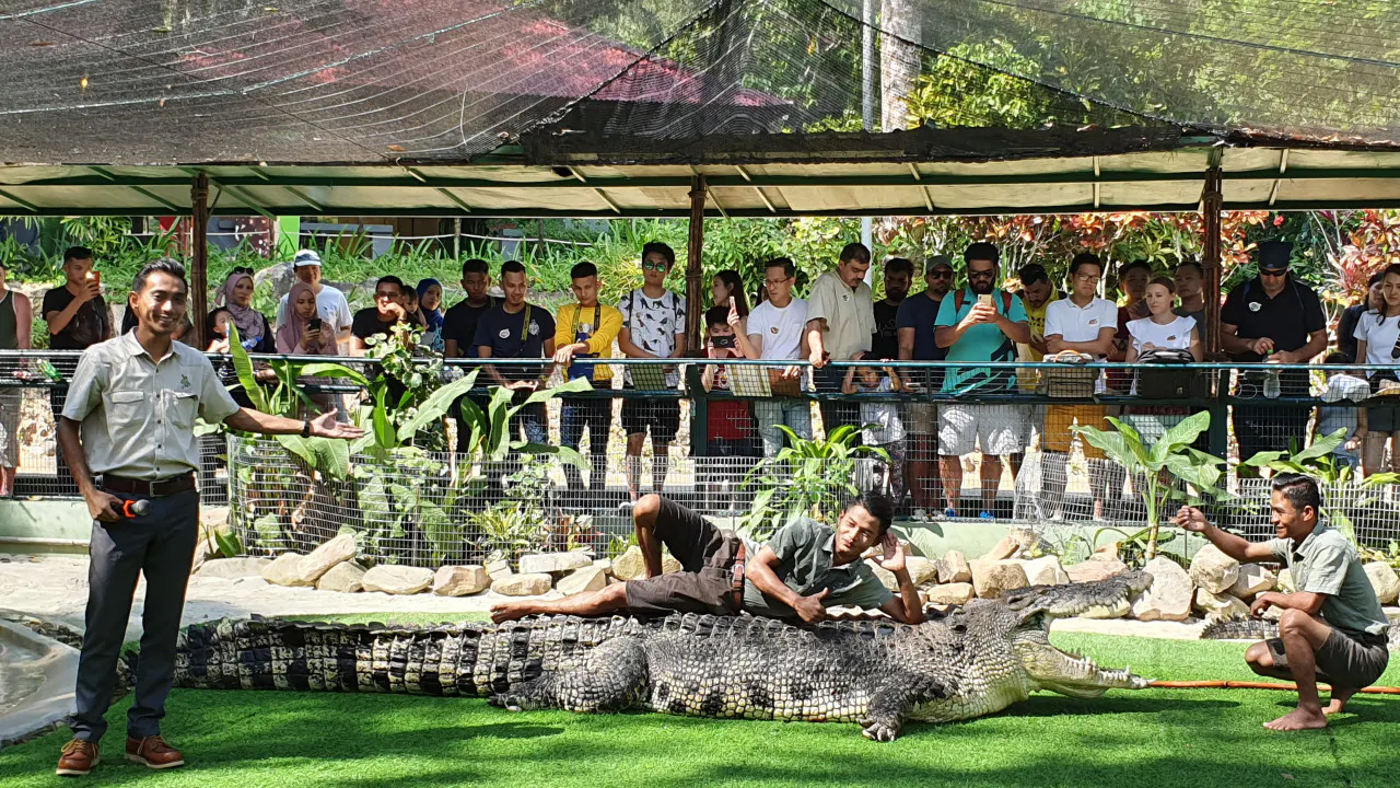 Combo: Under Water World Langkawi + Crocodile Adventure Langkawi Review