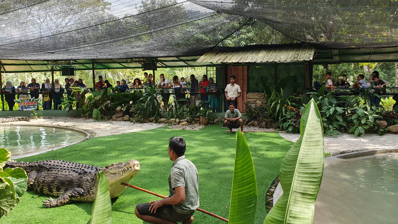 Combo: Under Water World Langkawi + Crocodile Adventure Langkawi Thrillark