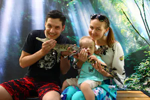 Combo: Under Water World Langkawi + Crocodile Adventure Langkawi