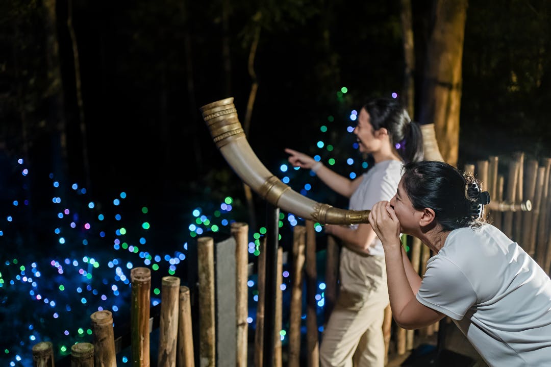 Combo: Under Water World Langkawi + Dream Forest Langkawi Category