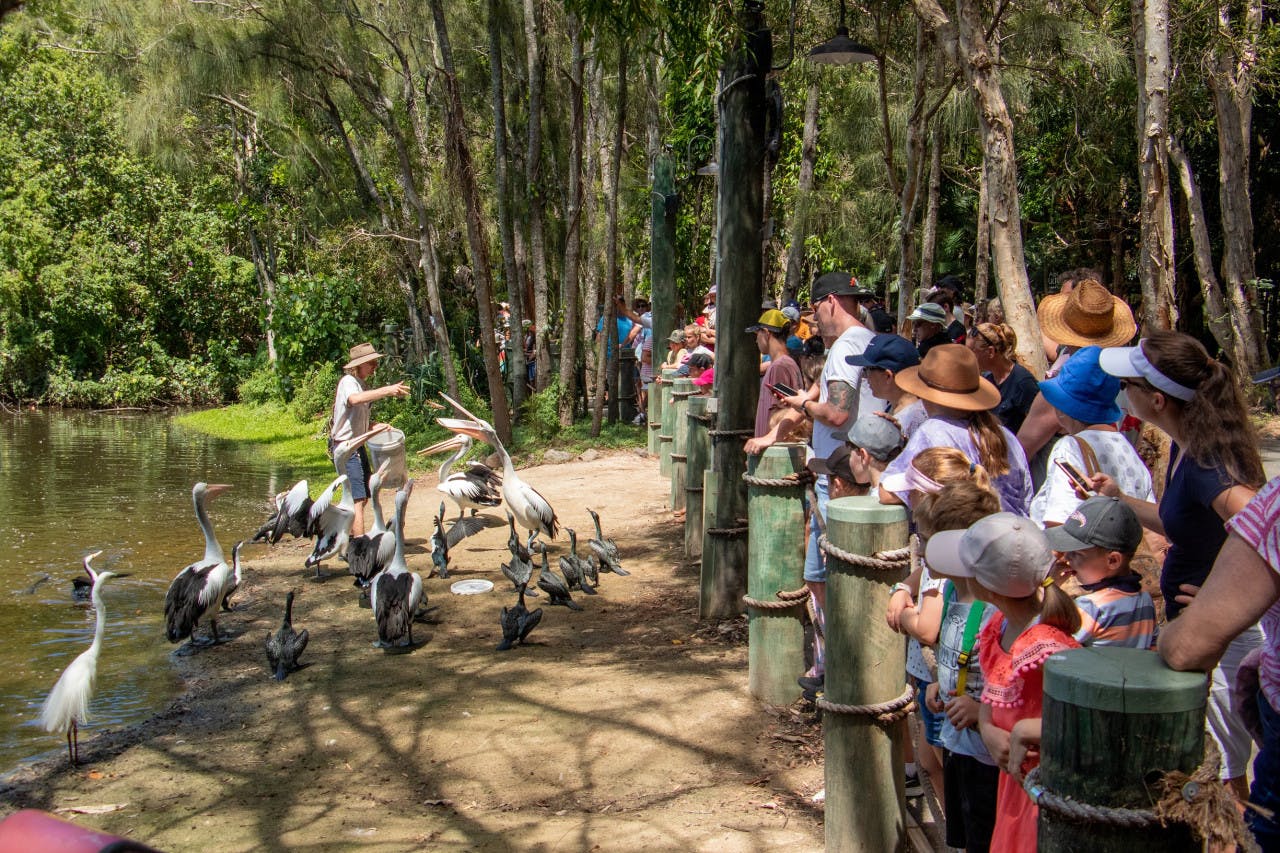 Currumbin Wildlife Sanctuary Tickets + ArtVo Gold Coast Combo Tickets Category