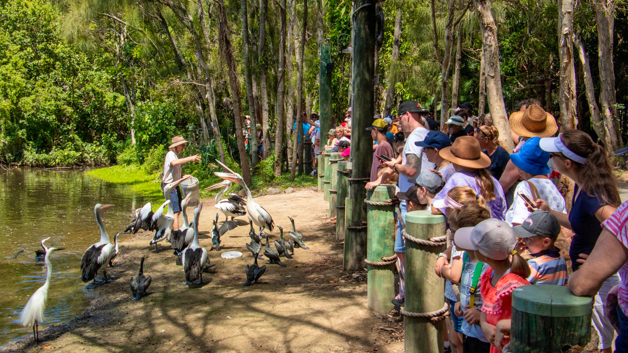 Currumbin Wildlife Sanctuary Tickets + ArtVo Gold Coast Combo Tickets Category