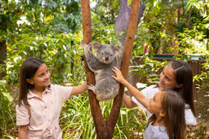 Currumbin Wildlife Sanctuary Tickets + ArtVo Gold Coast Combo Tickets