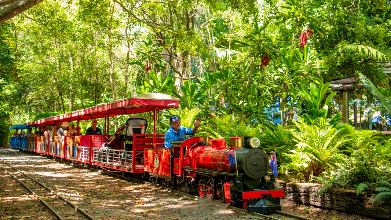 Currumbin Wildlife Sanctuary Tickets + ArtVo Gold Coast Combo Tickets Review