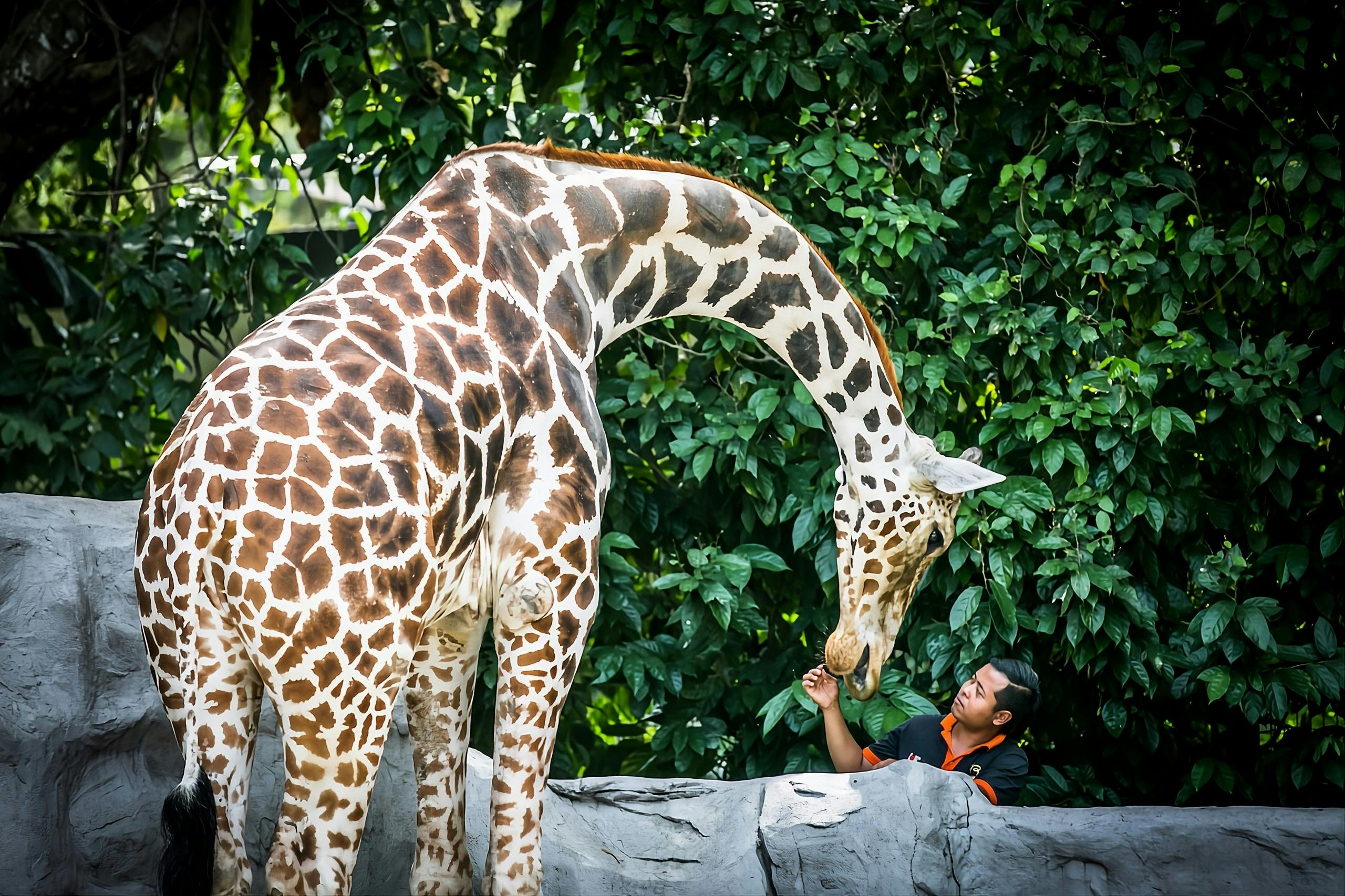 Sunway Lagoon + Zoo Negara Combo Ticket Location