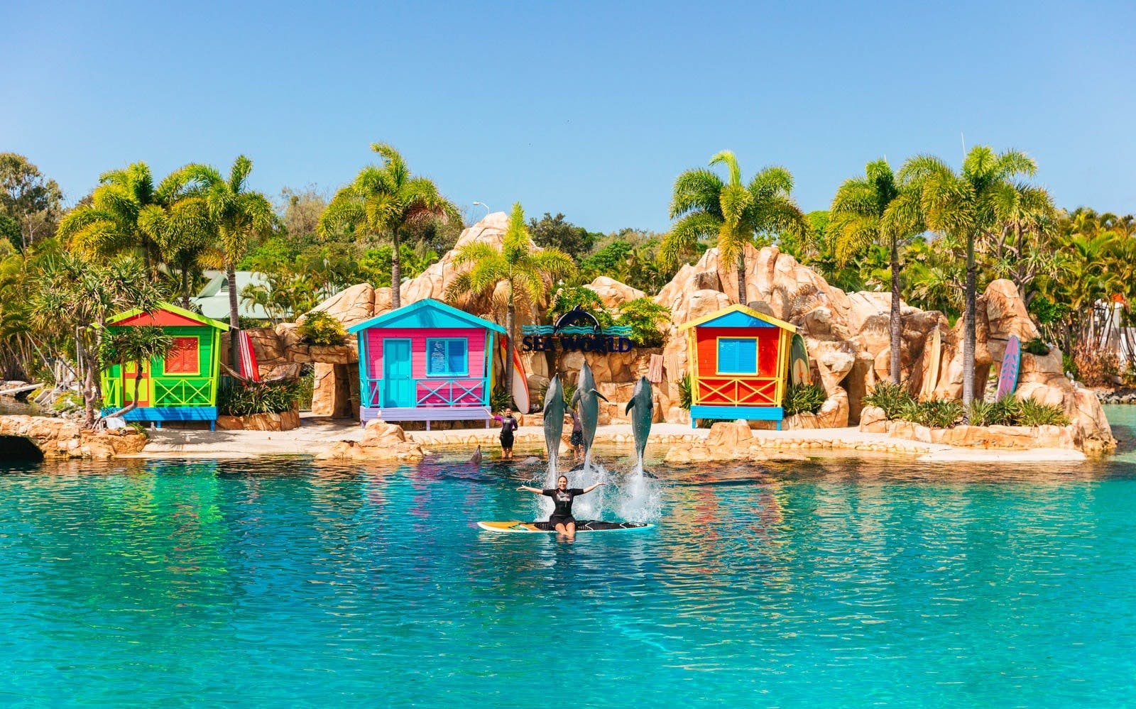 Combo: Sea World Gold Coast + SkyPoint Observation Deck