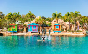 Combo: Sea World Gold Coast + SkyPoint Observation Deck