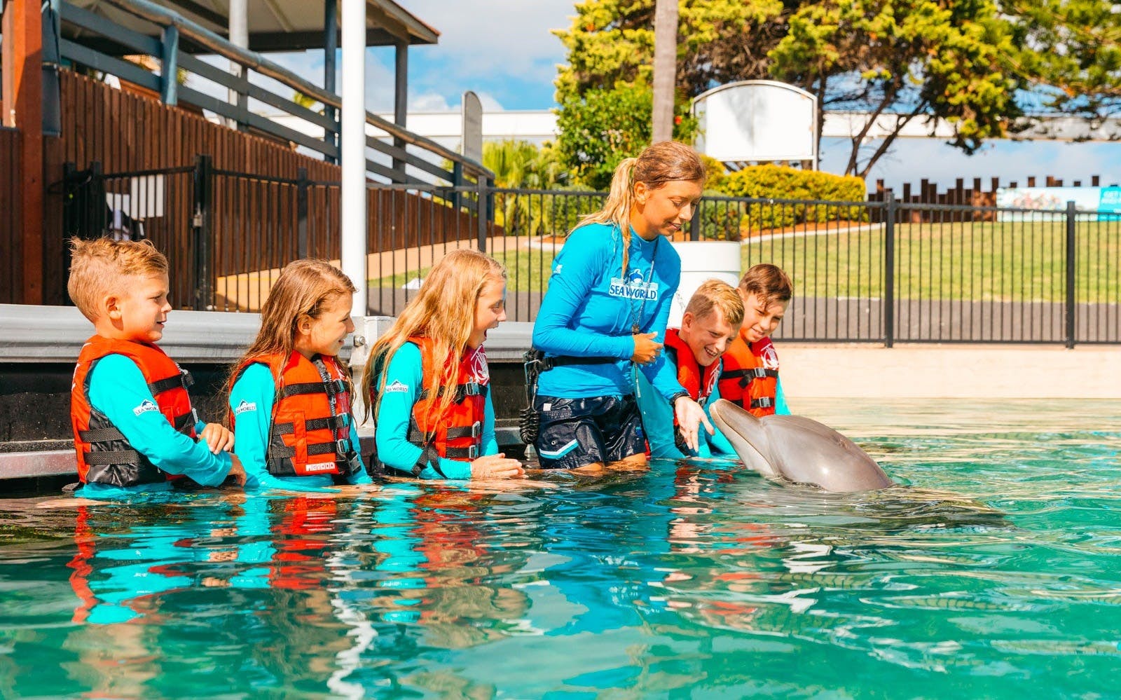 Combo: Sea World Gold Coast + SkyPoint Observation Deck Discount