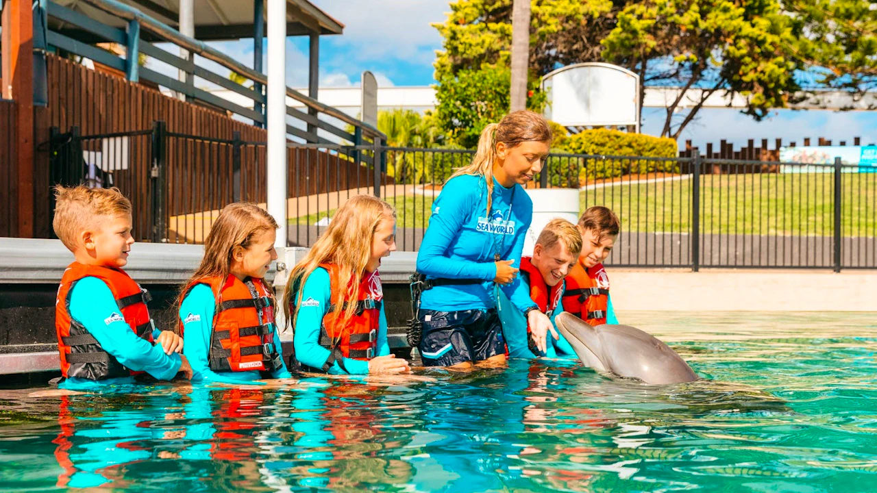 Combo: Sea World Gold Coast + SkyPoint Observation Deck Discount