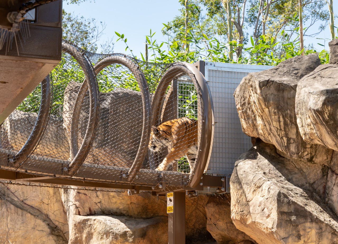 Dreamworld Gold Coast + Wax Museum Combo Ticket Discount