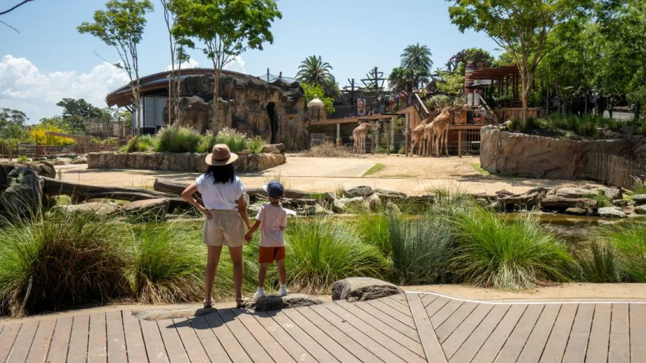 Combo: SEA LIFE Sydney Aquarium Tickets + Taronga Zoo