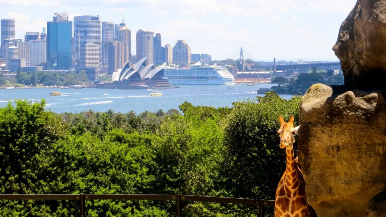 Combo: SEA LIFE Sydney Aquarium Tickets + Taronga Zoo