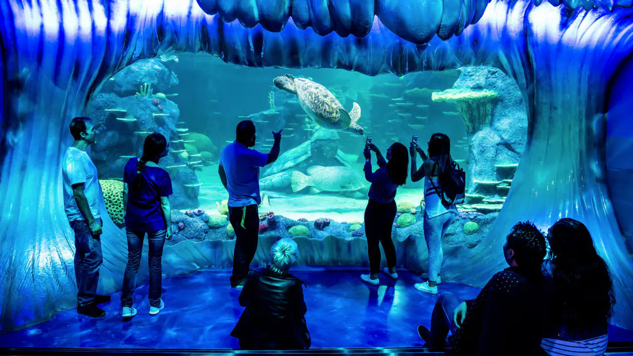 Combo: SEA LIFE Sydney Aquarium Tickets + Taronga Zoo Ticket