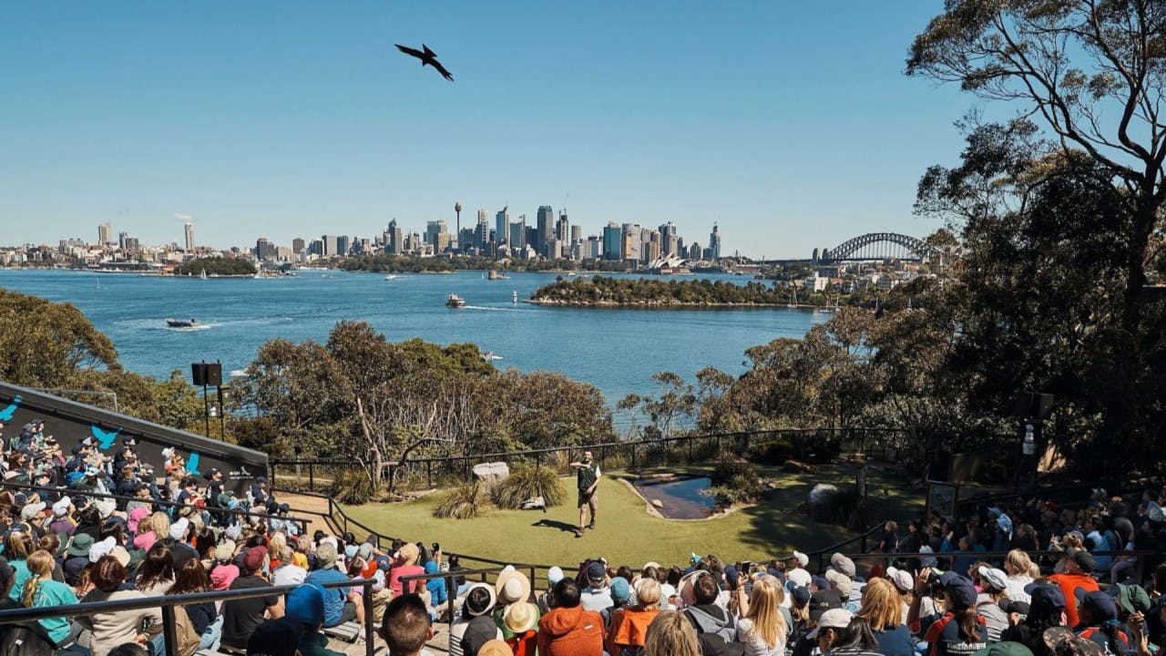 Combo: SEA LIFE Sydney Aquarium Tickets + Taronga Zoo Thrillark