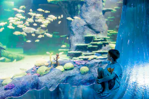 Combo: SEA LIFE Sydney Aquarium Tickets + WILD LIFE Sydney