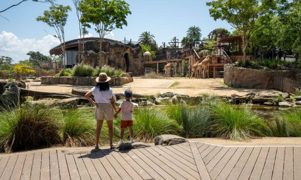 Madame Tussauds Sydney + Taronga Zoo Combo Ticket 