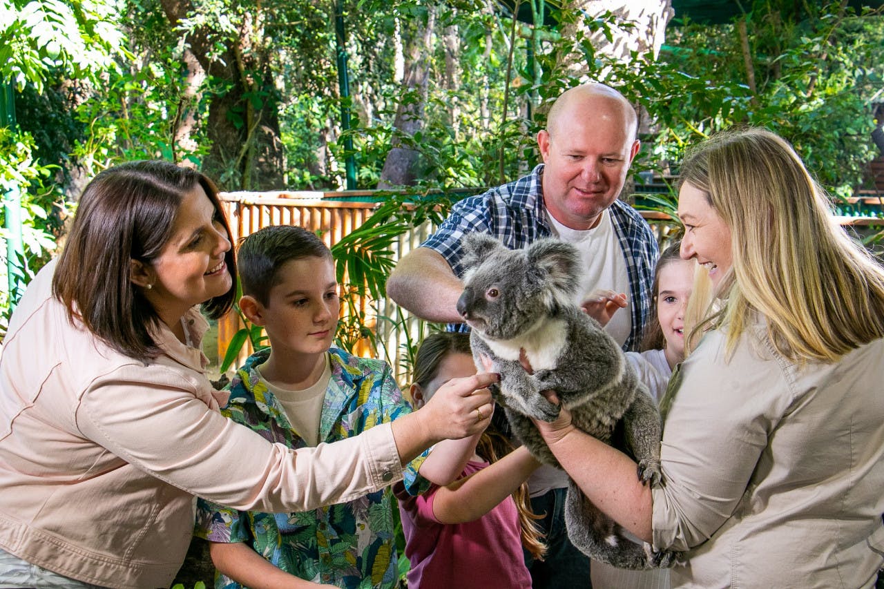 Combo: Currumbin Wildlife Sanctuary + SkyPoint Observation Deck Category