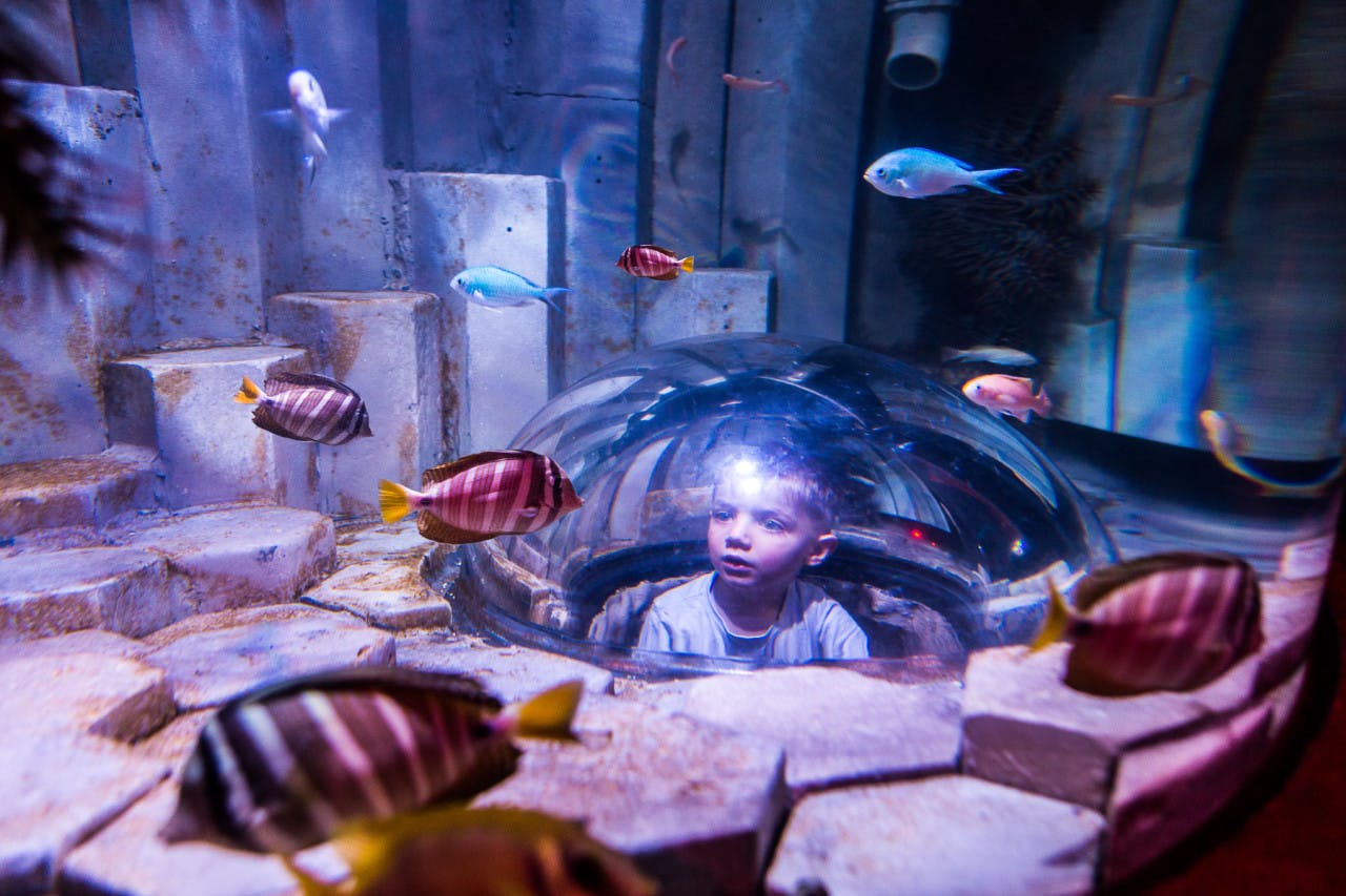 Combo: SEA LIFE Melbourne Aquarium + LEGOLAND Discovery Centre Melbourne Discount