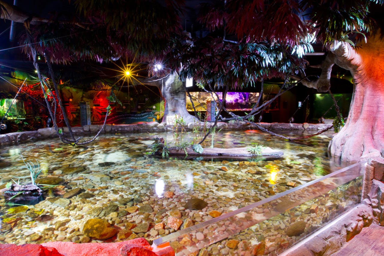 Combo: SEA LIFE Melbourne Aquarium + LEGOLAND Discovery Centre Melbourne Category