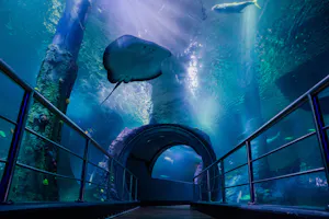 Combo: SEA LIFE Melbourne Aquarium + LEGOLAND Discovery Centre Melbourne