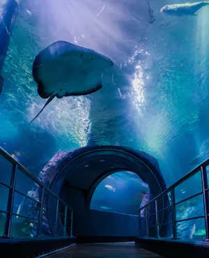 Combo: SEA LIFE Melbourne Aquarium + LEGOLAND Discovery Centre Melbourne