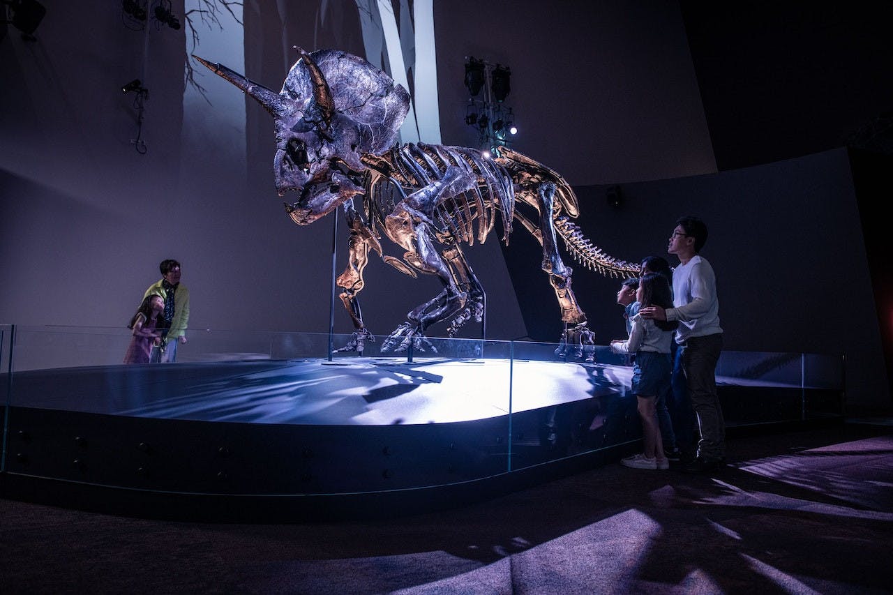 Combo: SEA LIFE Melbourne Aquarium + Melbourne Museum Thrillark