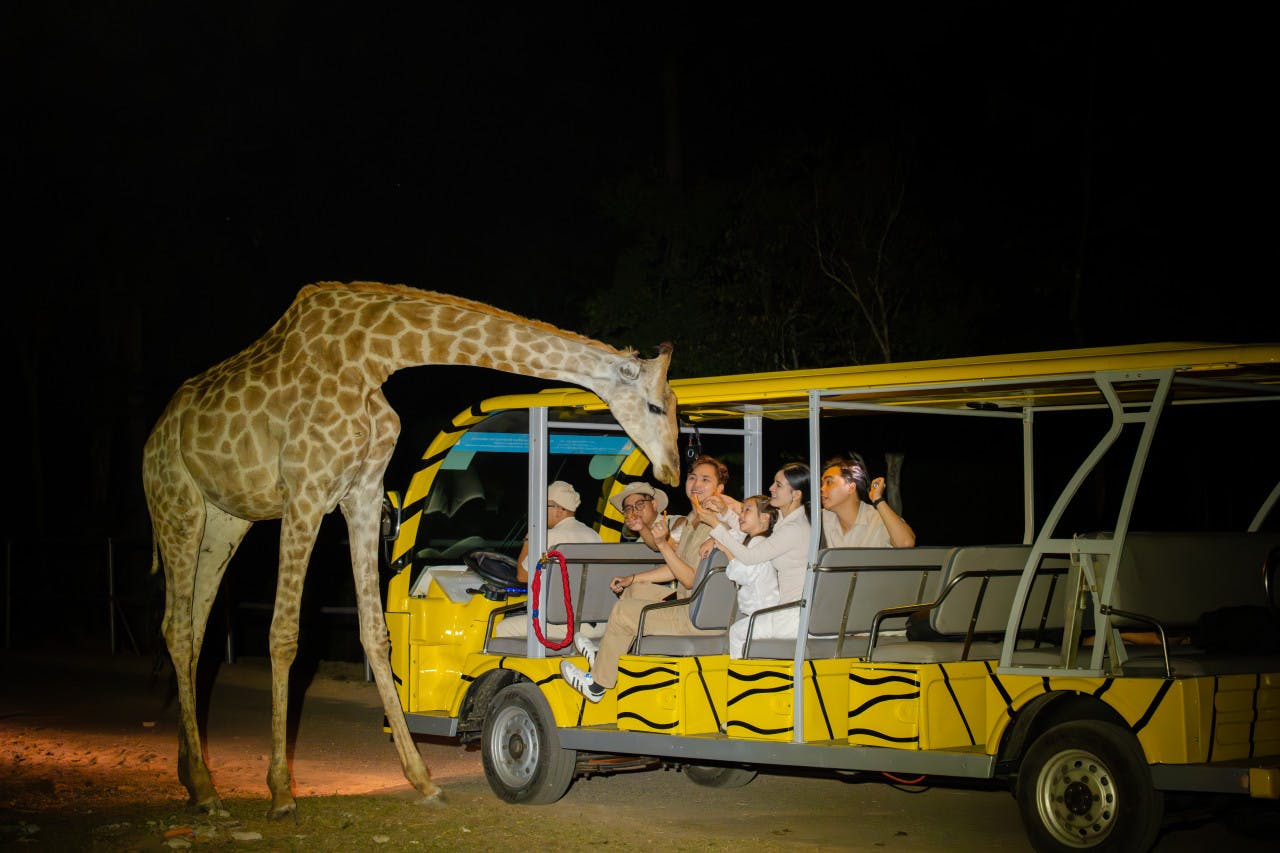 VinPearl Safari Phu Quoc + Teddy Bear Museum Combo Ticket 