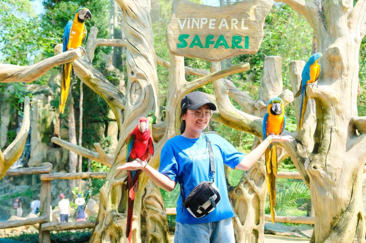VinPearl Safari Phu Quoc + Teddy Bear Museum Combo Ticket Ticket
