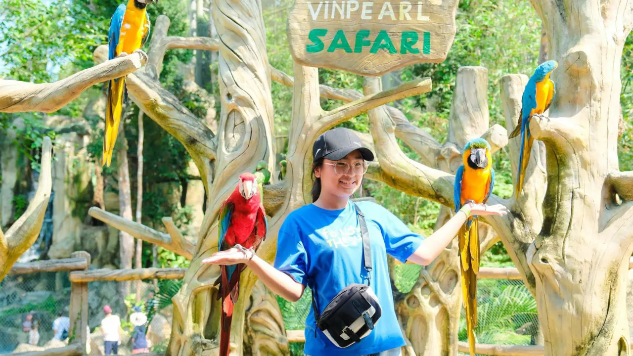 VinPearl Safari Phu Quoc + Teddy Bear Museum Combo Ticket Ticket