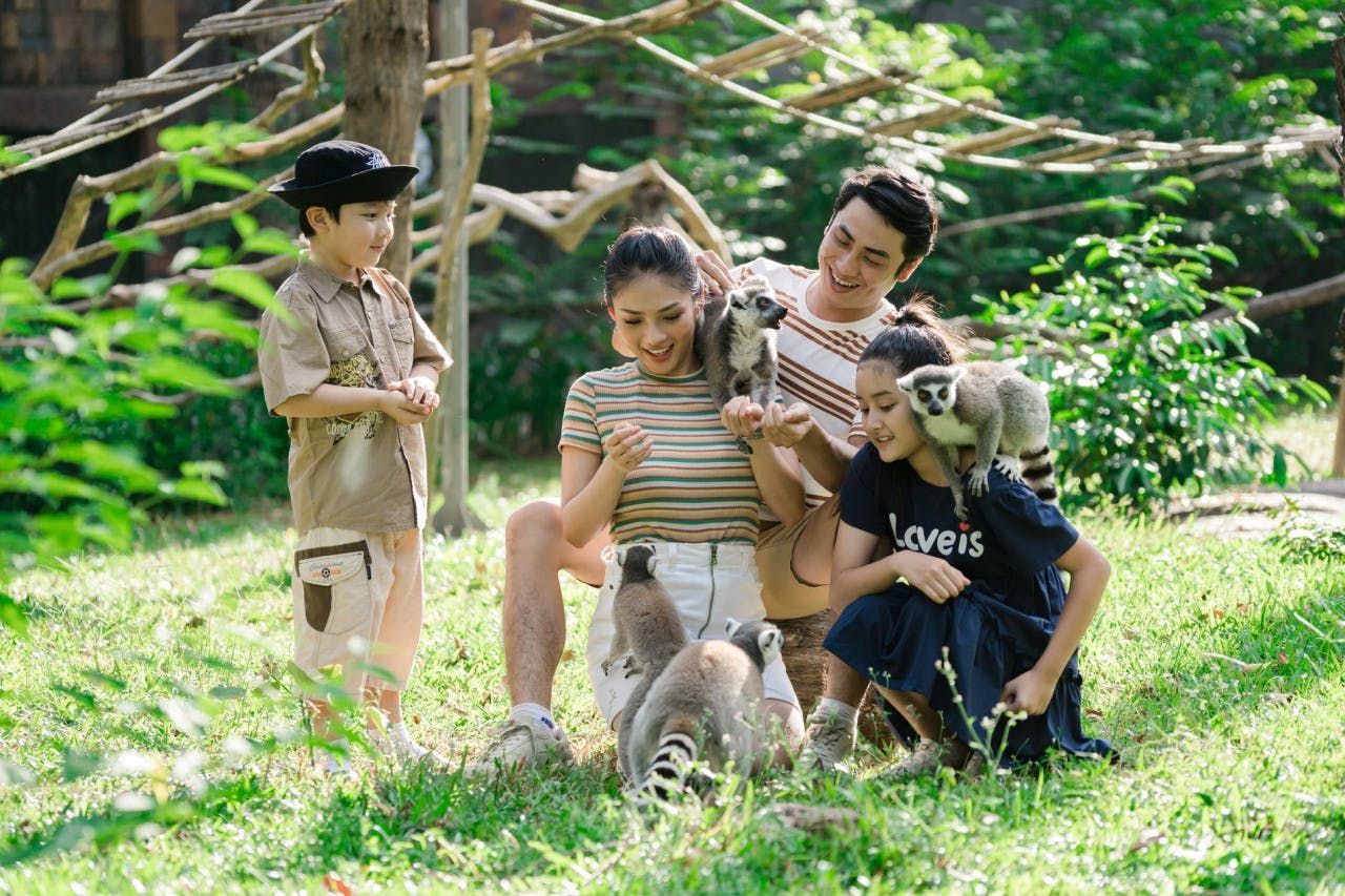 VinPearl Safari Phu Quoc + Teddy Bear Museum Combo Ticket Discount