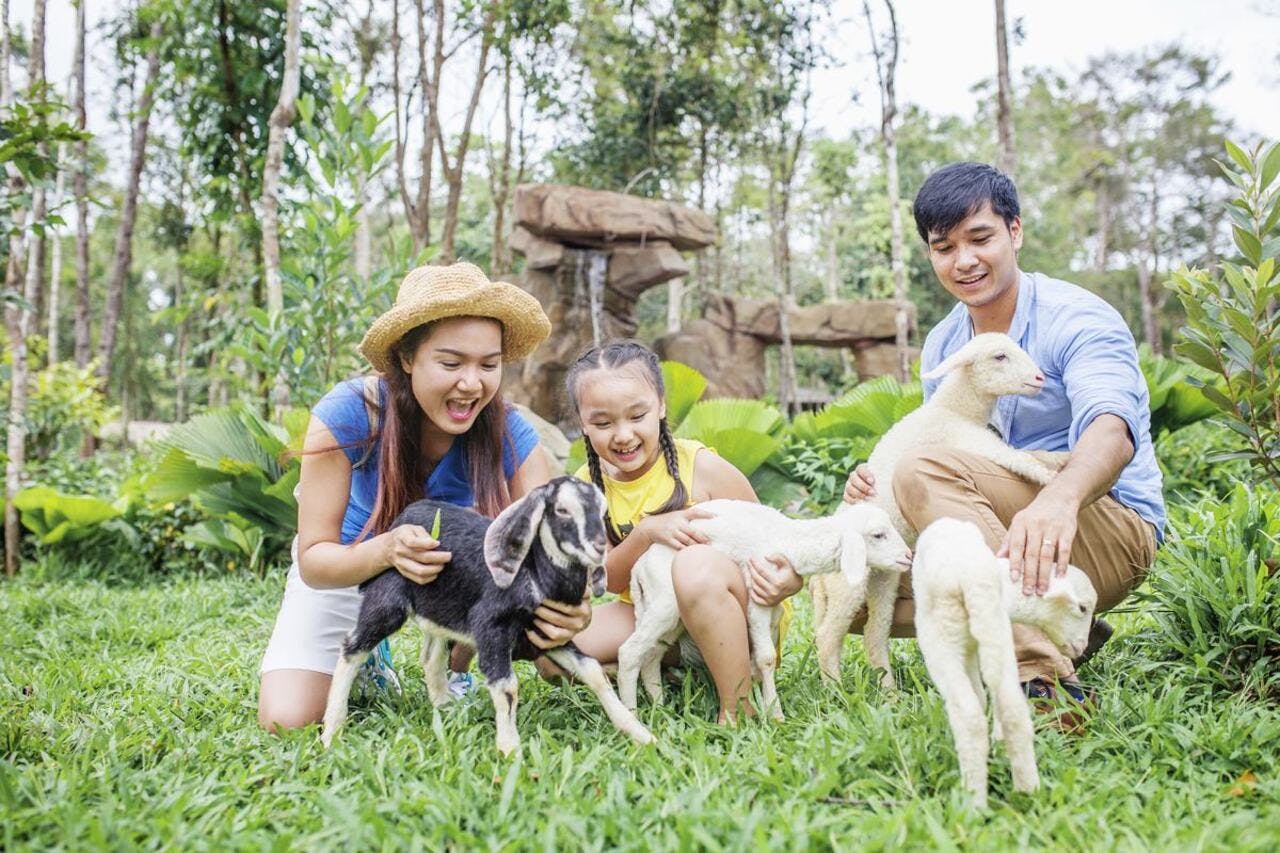 VinPearl Safari Phu Quoc + Teddy Bear Museum Combo Ticket 