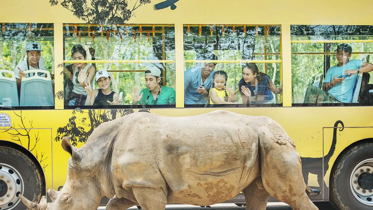 VinPearl Safari Phu Quoc + Teddy Bear Museum Combo Ticket Category